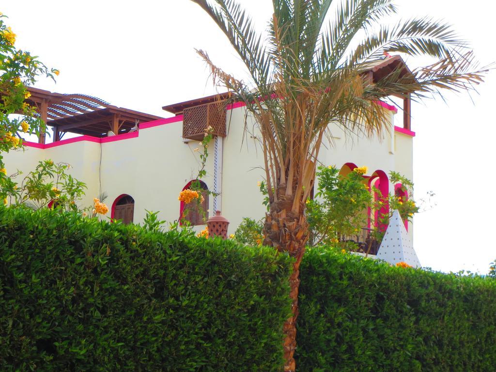 Villa Boghdady Dahab Værelse billede